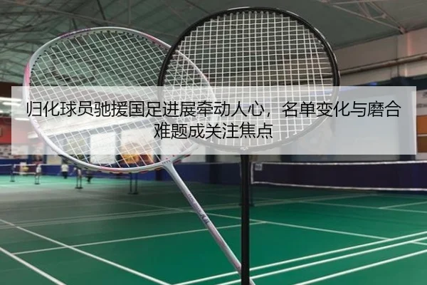 归化球员驰援国足进展牵动人心，名单变化与磨合难题成关注焦点